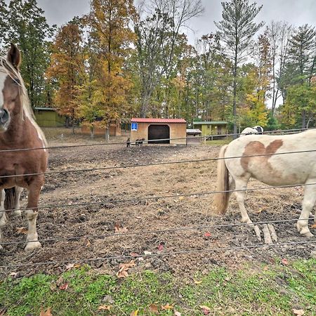 Rustic Clint Eastwood Ranch Apt By Raystown Lake Huntingdon Exterior foto