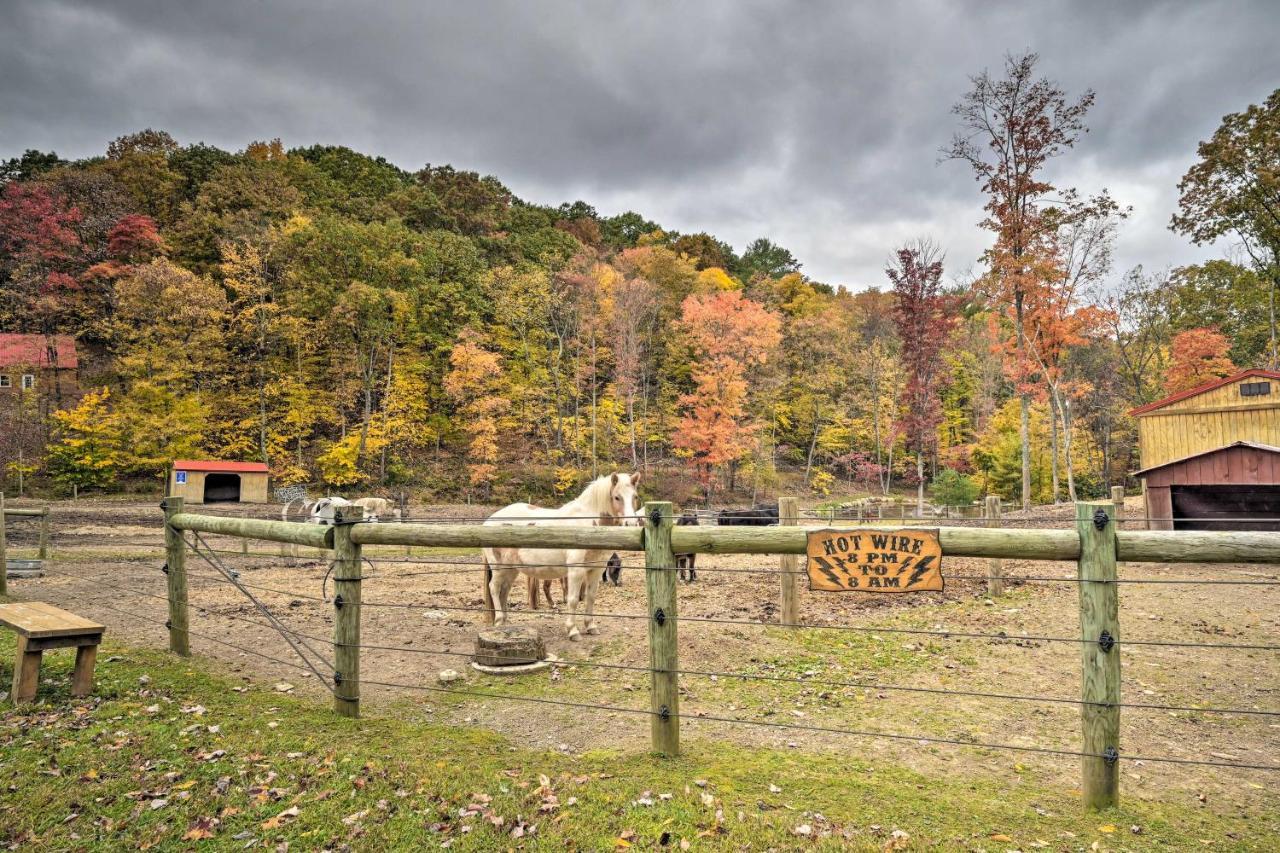 Rustic Clint Eastwood Ranch Apt By Raystown Lake Huntingdon Exterior foto